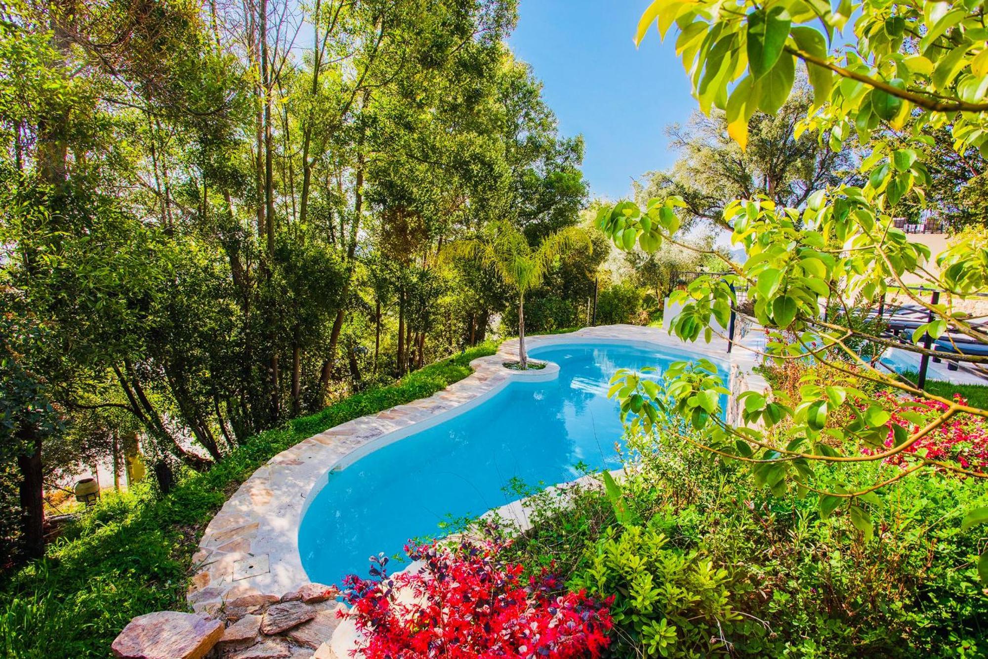 Villa Les Roches Mandelieu Exteriér fotografie